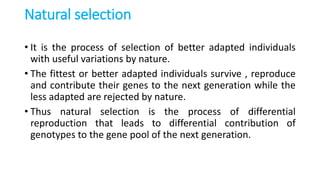 Natural selection
• It is the process of selection of better adapted individuals
with useful variations by nature.
• The fittest or better adapted individuals survive , reproduce
and contribute their genes to the next generation while the
less adapted are rejected by nature.
• Thus natural selection is the process of differential
reproduction that leads to differential contribution of
genotypes to the gene pool of the next generation.
 