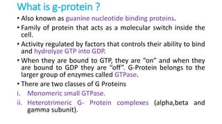 What is g-protein ?
• Also known as guanine nucleotide binding proteins.
• Family of protein that acts as a molecular switch inside the
cell.
• Activity regulated by factors that controls their ability to bind
and hydrolyze GTP into GDP.
• When they are bound to GTP, they are “on” and when they
are bound to GDP they are “off”. G-Protein belongs to the
larger group of enzymes called GTPase.
• There are two classes of G Proteins
i. Monomeric small GTPase.
ii. Heterotrimeric G- Protein complexes (alpha,beta and
gamma subunit).
 