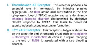 I. Thromboxane A2 Receptor : This receptor performs an
essential role in hemostasis by inducing platelet
aggregation . An R60L amino acid substitution in the first
cytoplasmic loop of TBAX2 receptor causes a dominantly
inherited bleeding disorder characterized by defective
platelet response to TBXA2. This leads to decreased
agonist induced second messenger formation.
II. P2Y12ADP Receptor : This receptor sub-type is shown to
be the target for anti thrombotic drugs such as ticlodipine
& clopidogrel. 2-nucleotide deletion in a region mapping
to the end of TMD6 is associated with a rare bleeding
disorder.
 