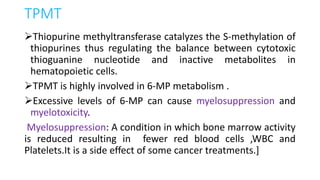 TPMT
Thiopurine methyltransferase catalyzes the S-methylation of
thiopurines thus regulating the balance between cytotoxic
thioguanine nucleotide and inactive metabolites in
hematopoietic cells.
TPMT is highly involved in 6-MP metabolism .
Excessive levels of 6-MP can cause myelosuppression and
myelotoxicity.
Myelosuppression: A condition in which bone marrow activity
is reduced resulting in fewer red blood cells ,WBC and
Platelets.It is a side effect of some cancer treatments.]
 