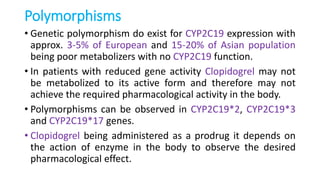 Polymorphisms
• Genetic polymorphism do exist for CYP2C19 expression with
approx. 3-5% of European and 15-20% of Asian population
being poor metabolizers with no CYP2C19 function.
• In patients with reduced gene activity Clopidogrel may not
be metabolized to its active form and therefore may not
achieve the required pharmacological activity in the body.
• Polymorphisms can be observed in CYP2C19*2, CYP2C19*3
and CYP2C19*17 genes.
• Clopidogrel being administered as a prodrug it depends on
the action of enzyme in the body to observe the desired
pharmacological effect.
 