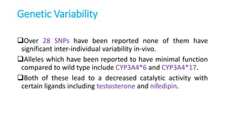 Genetic Variability
Over 28 SNPs have been reported none of them have
significant inter-individual variability in-vivo.
Alleles which have been reported to have minimal function
compared to wild type include CYP3A4*6 and CYP3A4*17.
Both of these lead to a decreased catalytic activity with
certain ligands including testosterone and nifedipin.
 
