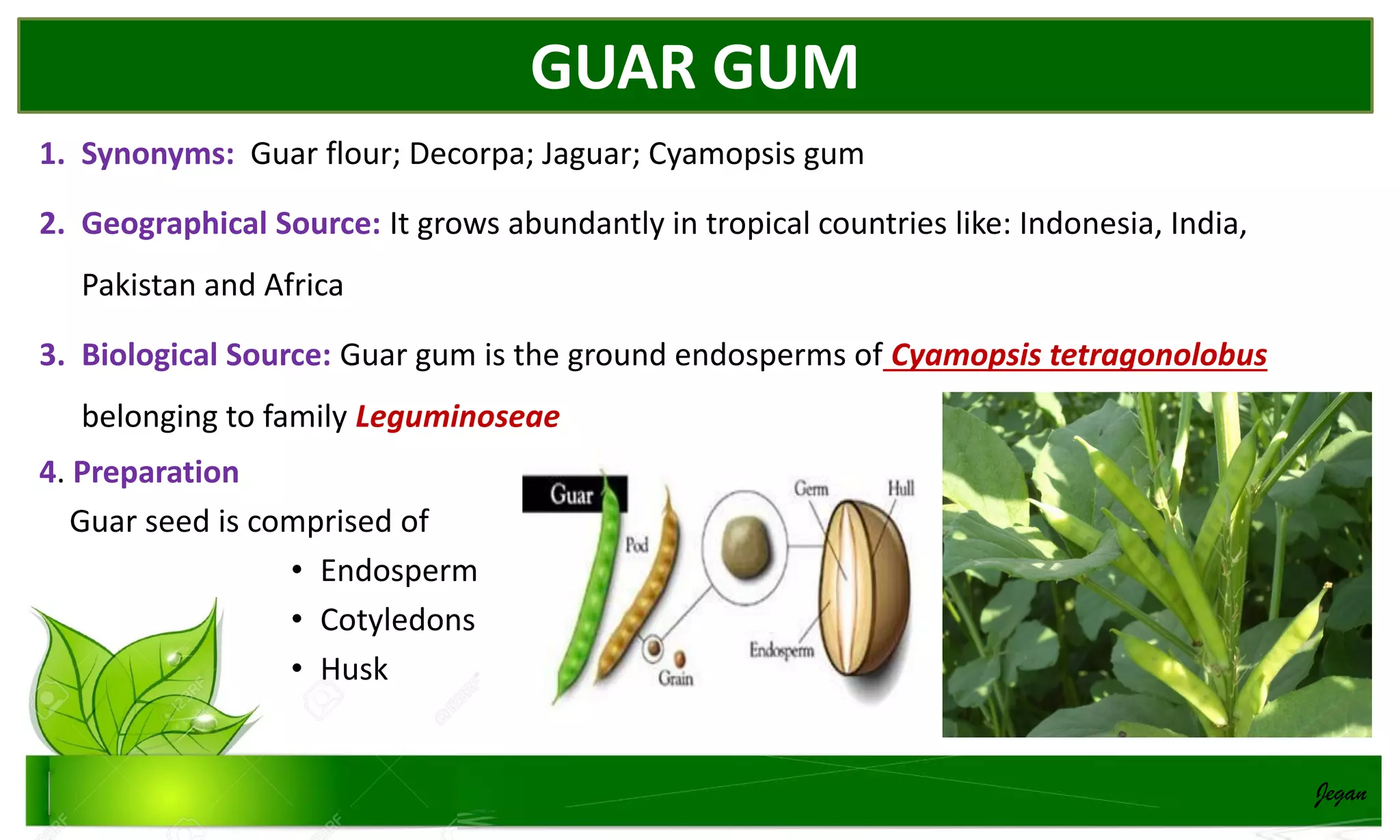 Pharmacognosy of carbohydrates containing drugs | PDF