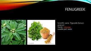 FENUGREEK
Scientific name: Trigonella foenum-
graecum
Family: Fabaceae
useable part: seeds
 