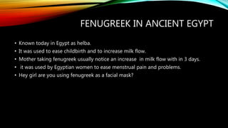 FENUGREEK IN ANCIENT EGYPT
• Known today in Egypt as helba.
• It was used to ease childbirth and to increase milk flow.
• Mother taking fenugreek usually notice an increase in milk flow with in 3 days.
• it was used by Egyptian women to ease menstrual pain and problems.
• Hey girl are you using fenugreek as a facial mask?
 