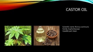 CASTOR OIL
Scientific name: Ricinus communis
Family: Euphorbiaceae
Useable part: bean
 