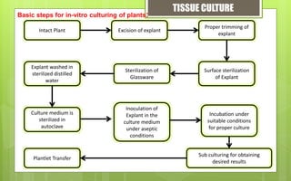 Plant Tissue Culture Complete Presentation | PPTX
