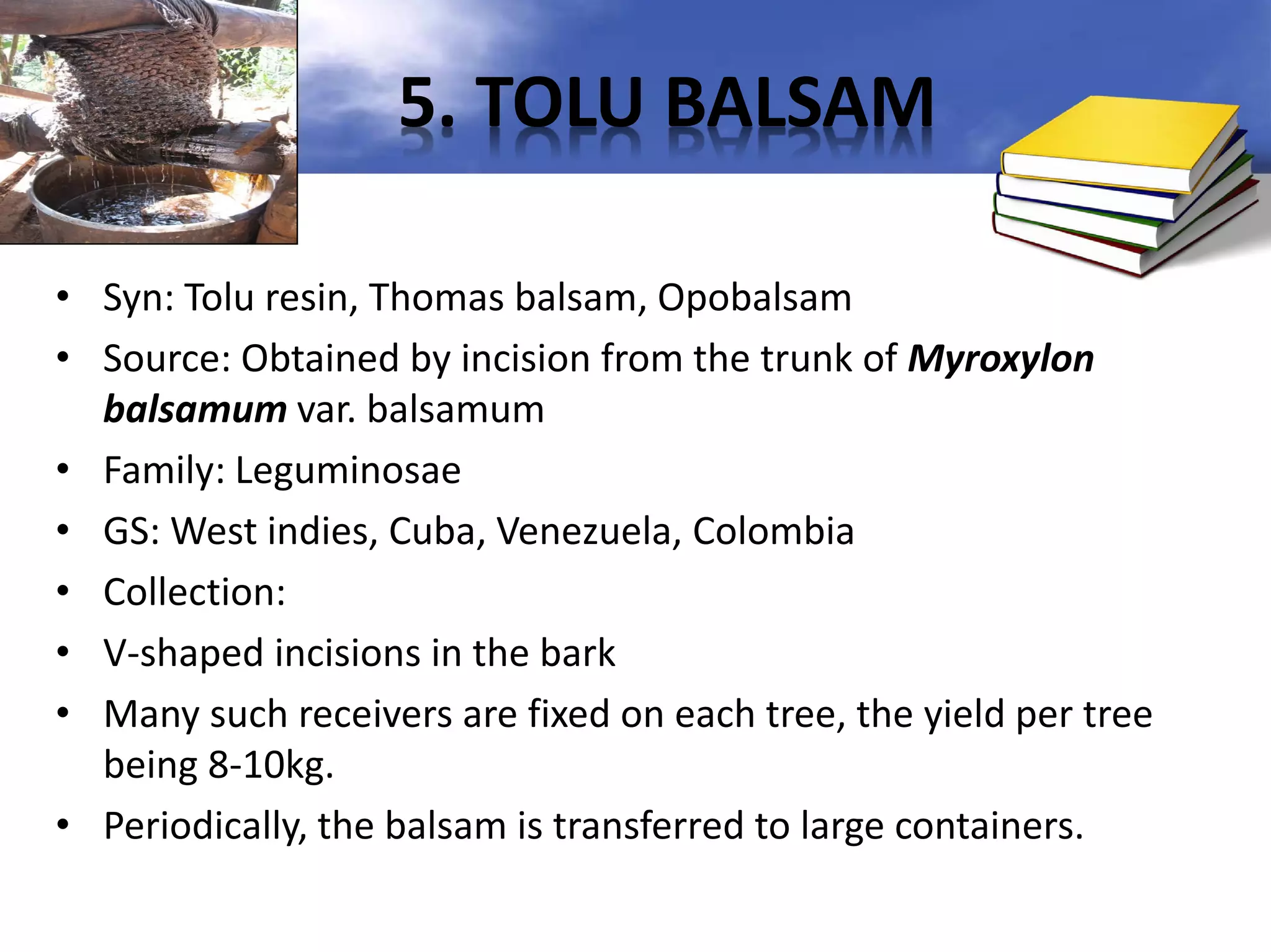 5. TOLU BALSAM
• Syn: Tolu resin, Thomas balsam, Opobalsam
• Source: Obtained by incision from the trunk of Myroxylon
balsamum var. balsamum
• Family: Leguminosae
• GS: West indies, Cuba, Venezuela, Colombia
• Collection:
• V-shaped incisions in the bark
• Many such receivers are fixed on each tree, the yield per tree
being 8-10kg.
• Periodically, the balsam is transferred to large containers.

 