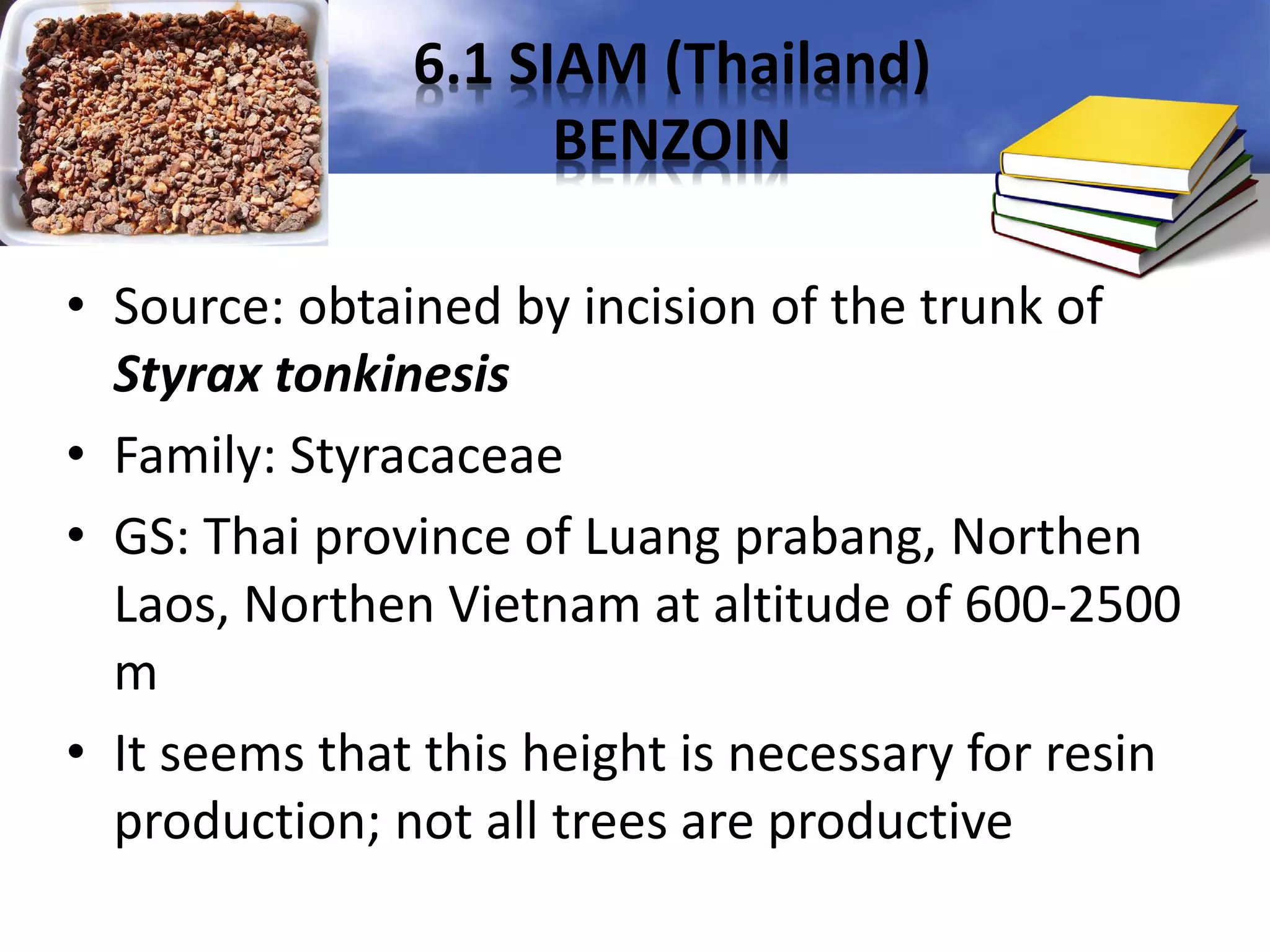 6.1 SIAM (Thailand)
BENZOIN
• Source: obtained by incision of the trunk of
Styrax tonkinesis
• Family: Styracaceae
• GS: Thai province of Luang prabang, Northen
Laos, Northen Vietnam at altitude of 600-2500
m
• It seems that this height is necessary for resin
production; not all trees are productive

 