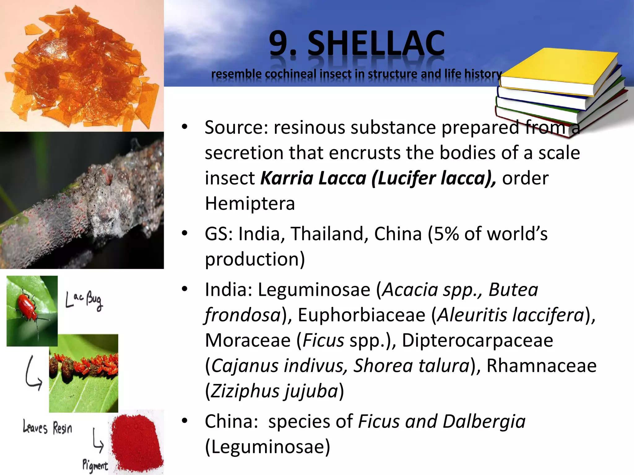 9. SHELLAC
resemble cochineal insect in structure and life history

• Source: resinous substance prepared from a
secretion that encrusts the bodies of a scale
insect Karria Lacca (Lucifer lacca), order
Hemiptera
• GS: India, Thailand, China (5% of world’s
production)
• India: Leguminosae (Acacia spp., Butea
frondosa), Euphorbiaceae (Aleuritis laccifera),
Moraceae (Ficus spp.), Dipterocarpaceae
(Cajanus indivus, Shorea talura), Rhamnaceae
(Ziziphus jujuba)
• China: species of Ficus and Dalbergia
(Leguminosae)

 