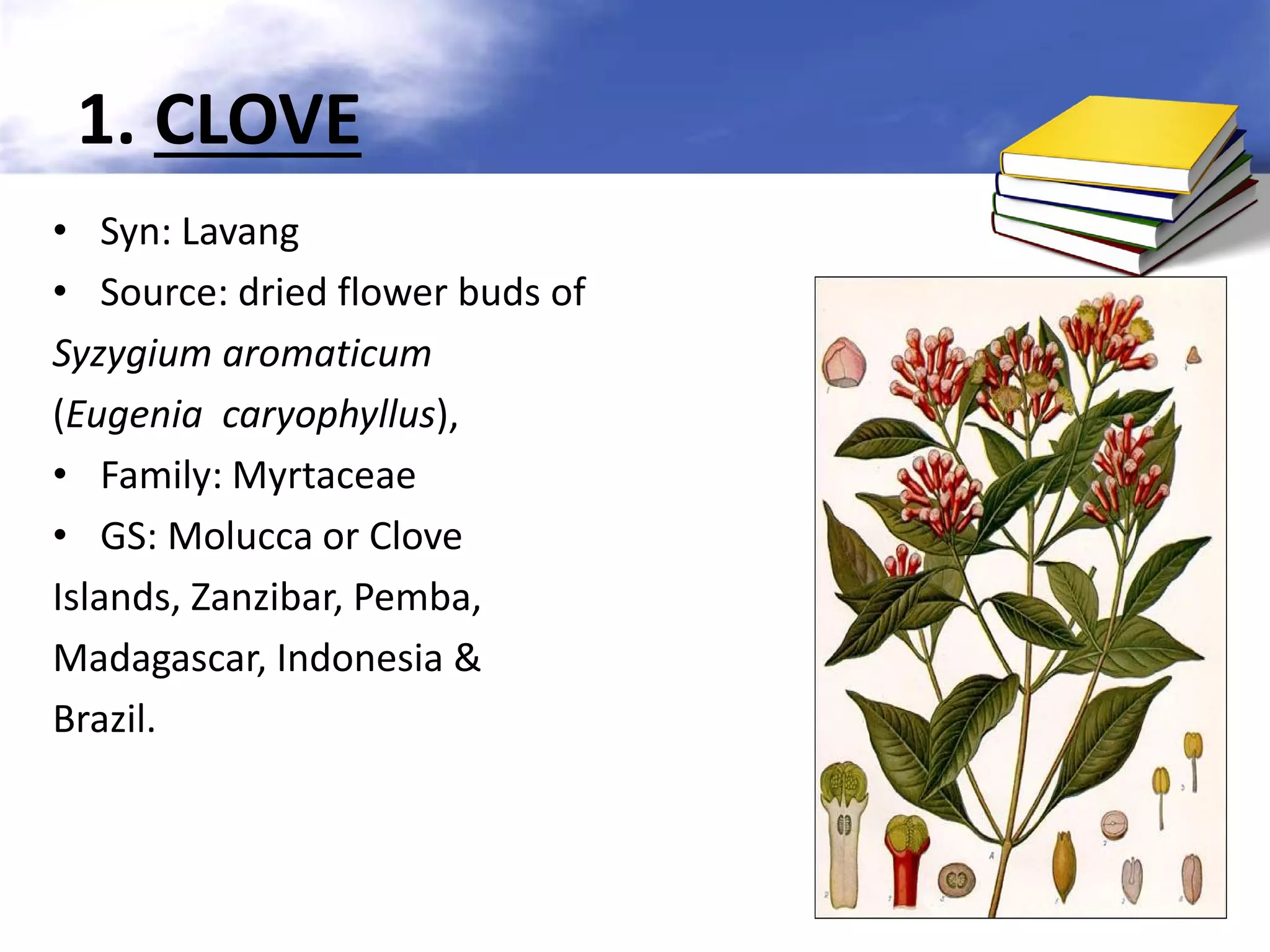 1. CLOVE
• Syn: Lavang
• Source: dried flower buds of
Syzygium aromaticum
(Eugenia caryophyllus),
• Family: Myrtaceae
• GS: Molucca or Clove
Islands, Zanzibar, Pemba,
Madagascar, Indonesia &
Brazil.

 