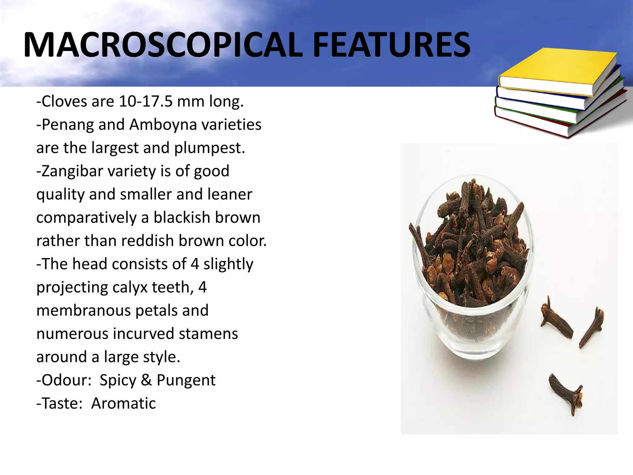 MACROSCOPICAL FEATURES
-Cloves are 10-17.5 mm long.
-Penang and Amboyna varieties
are the largest and plumpest.
-Zangibar variety is of good
quality and smaller and leaner
comparatively a blackish brown
rather than reddish brown color.
-The head consists of 4 slightly
projecting calyx teeth, 4
membranous petals and
numerous incurved stamens
around a large style.
-Odour: Spicy & Pungent
-Taste: Aromatic

 