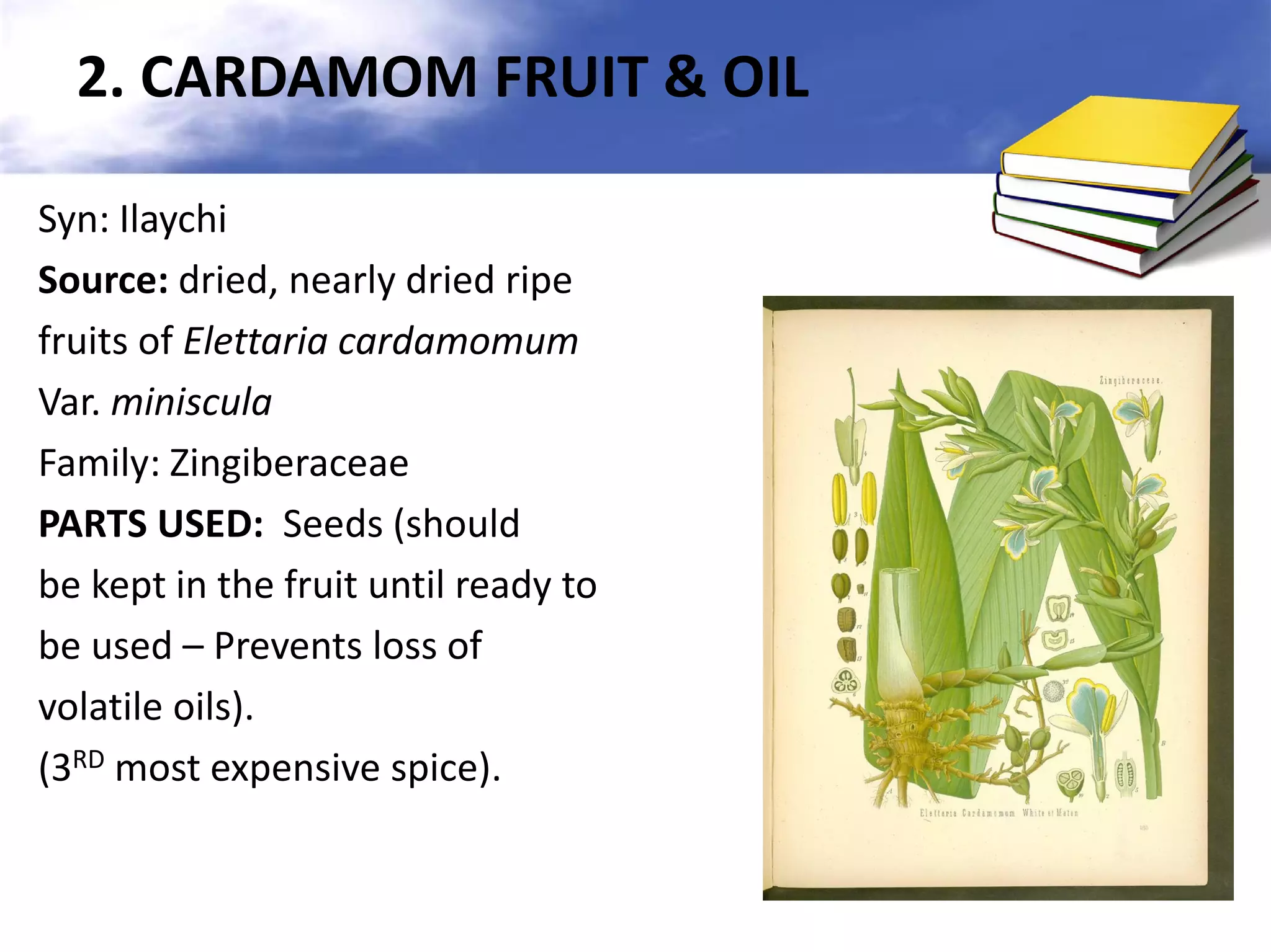 2. CARDAMOM FRUIT & OIL
Syn: Ilaychi
Source: dried, nearly dried ripe
fruits of Elettaria cardamomum
Var. miniscula
Family: Zingiberaceae
PARTS USED: Seeds (should
be kept in the fruit until ready to
be used – Prevents loss of
volatile oils).
(3RD most expensive spice).

 