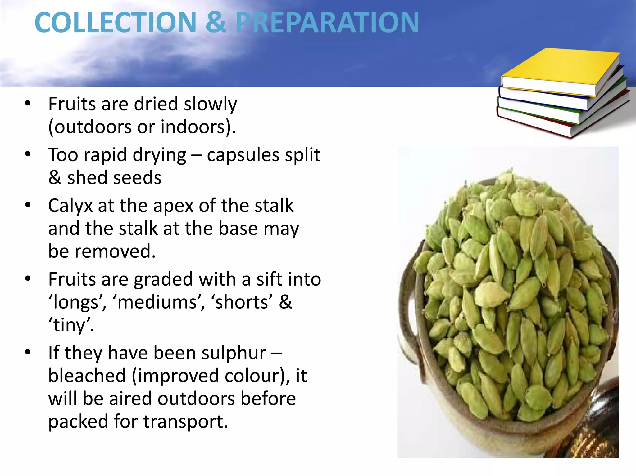 COLLECTION & PREPARATION
• Fruits are dried slowly
(outdoors or indoors).
• Too rapid drying – capsules split
& shed seeds
• Calyx at the apex of the stalk
and the stalk at the base may
be removed.
• Fruits are graded with a sift into
‘longs’, ‘mediums’, ‘shorts’ &
‘tiny’.
• If they have been sulphur –
bleached (improved colour), it
will be aired outdoors before
packed for transport.

 