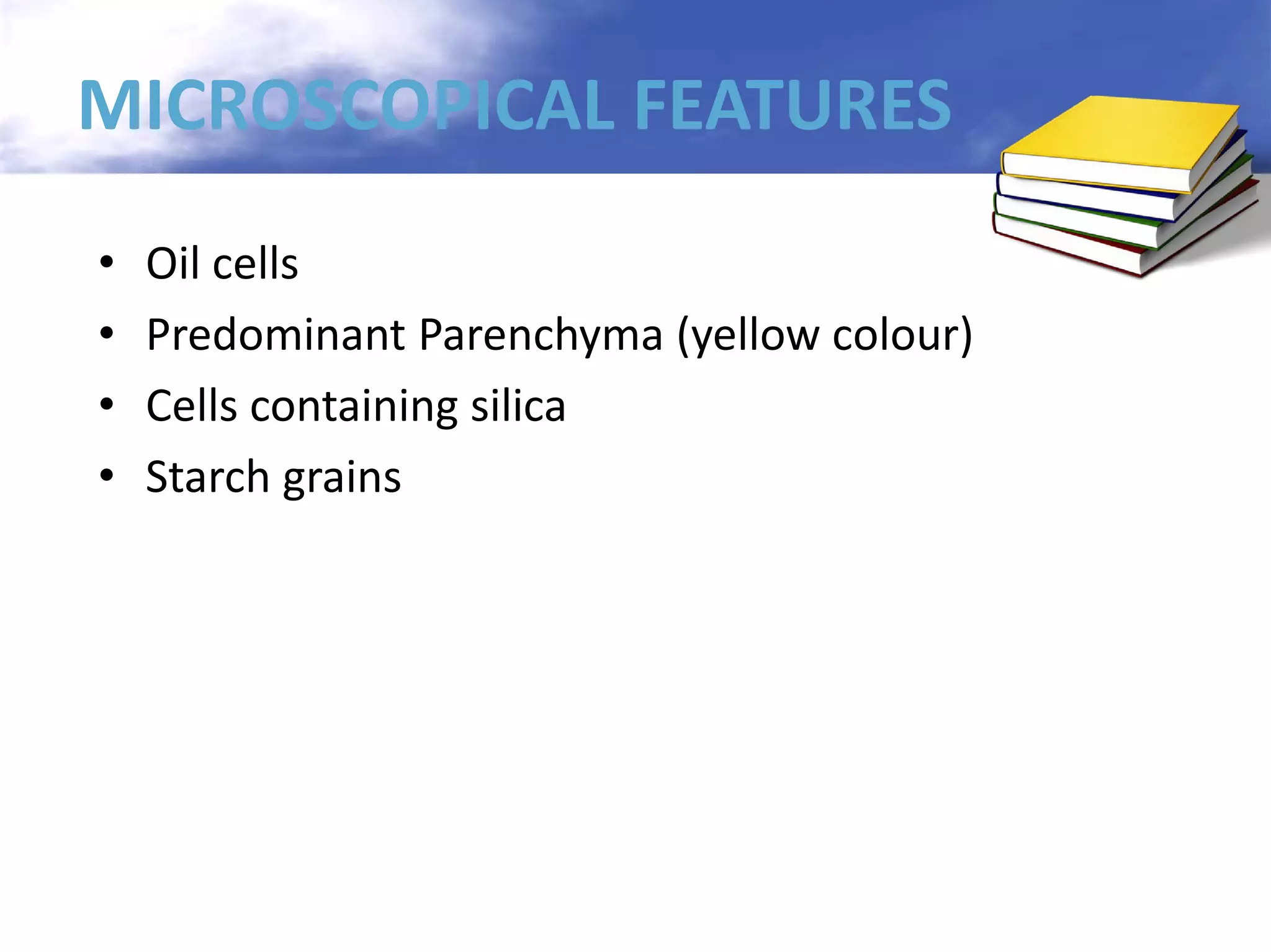MICROSCOPICAL FEATURES
•
•
•
•

Oil cells
Predominant Parenchyma (yellow colour)
Cells containing silica
Starch grains

 