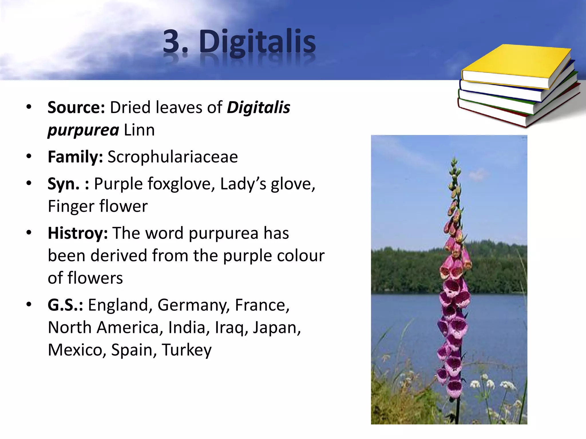 3. Digitalis
• Source: Dried leaves of Digitalis
purpurea Linn
• Family: Scrophulariaceae
• Syn. : Purple foxglove, Lady’s glove,
Finger flower
• Histroy: The word purpurea has
been derived from the purple colour
of flowers
• G.S.: England, Germany, France,
North America, India, Iraq, Japan,
Mexico, Spain, Turkey

 