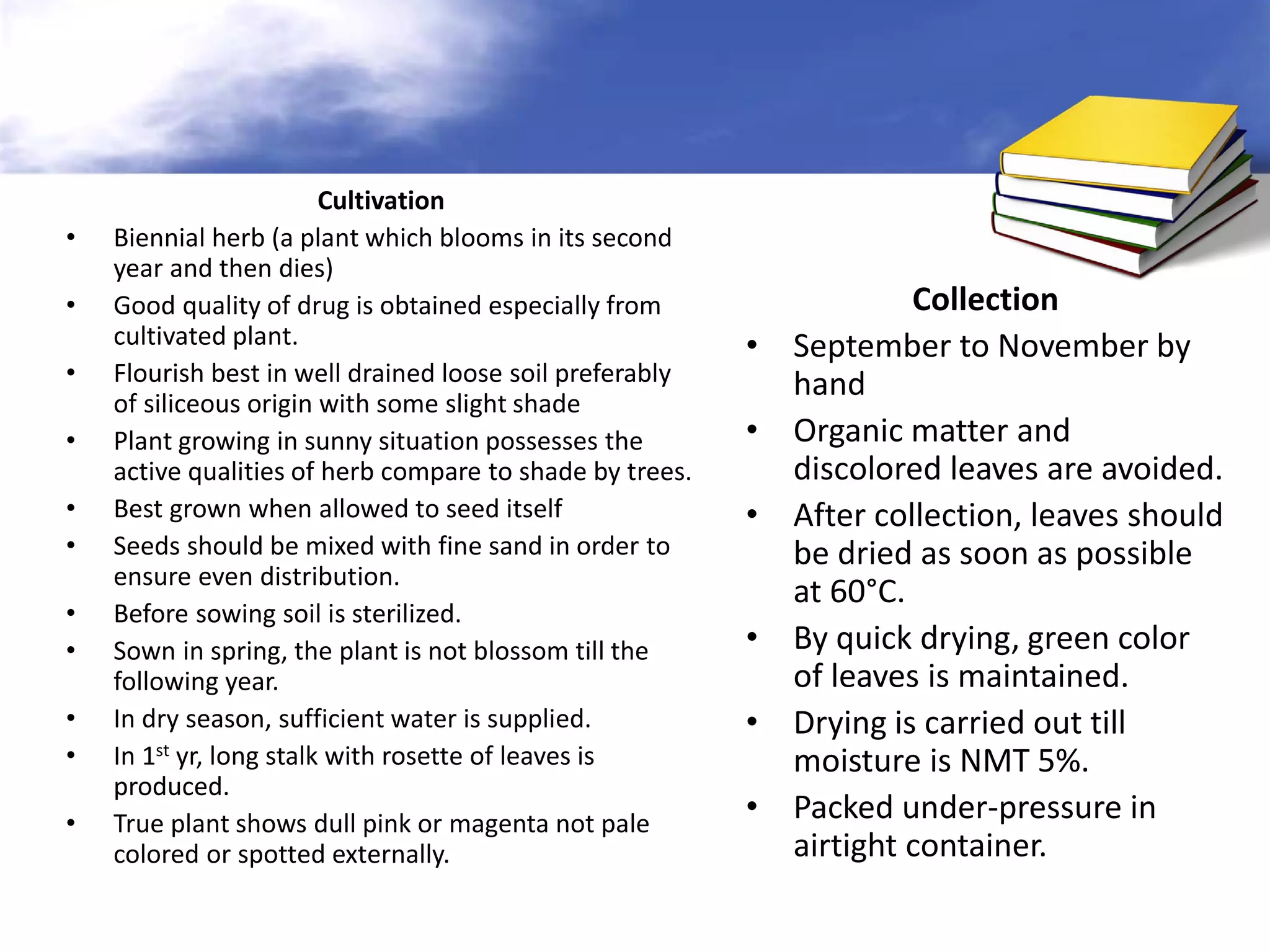 •
•
•
•
•
•
•
•
•
•
•

Cultivation
Biennial herb (a plant which blooms in its second
year and then dies)
Good quality of drug is obtained especially from
cultivated plant.
Flourish best in well drained loose soil preferably
of siliceous origin with some slight shade
Plant growing in sunny situation possesses the
active qualities of herb compare to shade by trees.
Best grown when allowed to seed itself
Seeds should be mixed with fine sand in order to
ensure even distribution.
Before sowing soil is sterilized.
Sown in spring, the plant is not blossom till the
following year.
In dry season, sufficient water is supplied.
In 1st yr, long stalk with rosette of leaves is
produced.
True plant shows dull pink or magenta not pale
colored or spotted externally.

•
•
•

•
•
•

Collection
September to November by
hand
Organic matter and
discolored leaves are avoided.
After collection, leaves should
be dried as soon as possible
at 60°C.
By quick drying, green color
of leaves is maintained.
Drying is carried out till
moisture is NMT 5%.
Packed under-pressure in
airtight container.

 