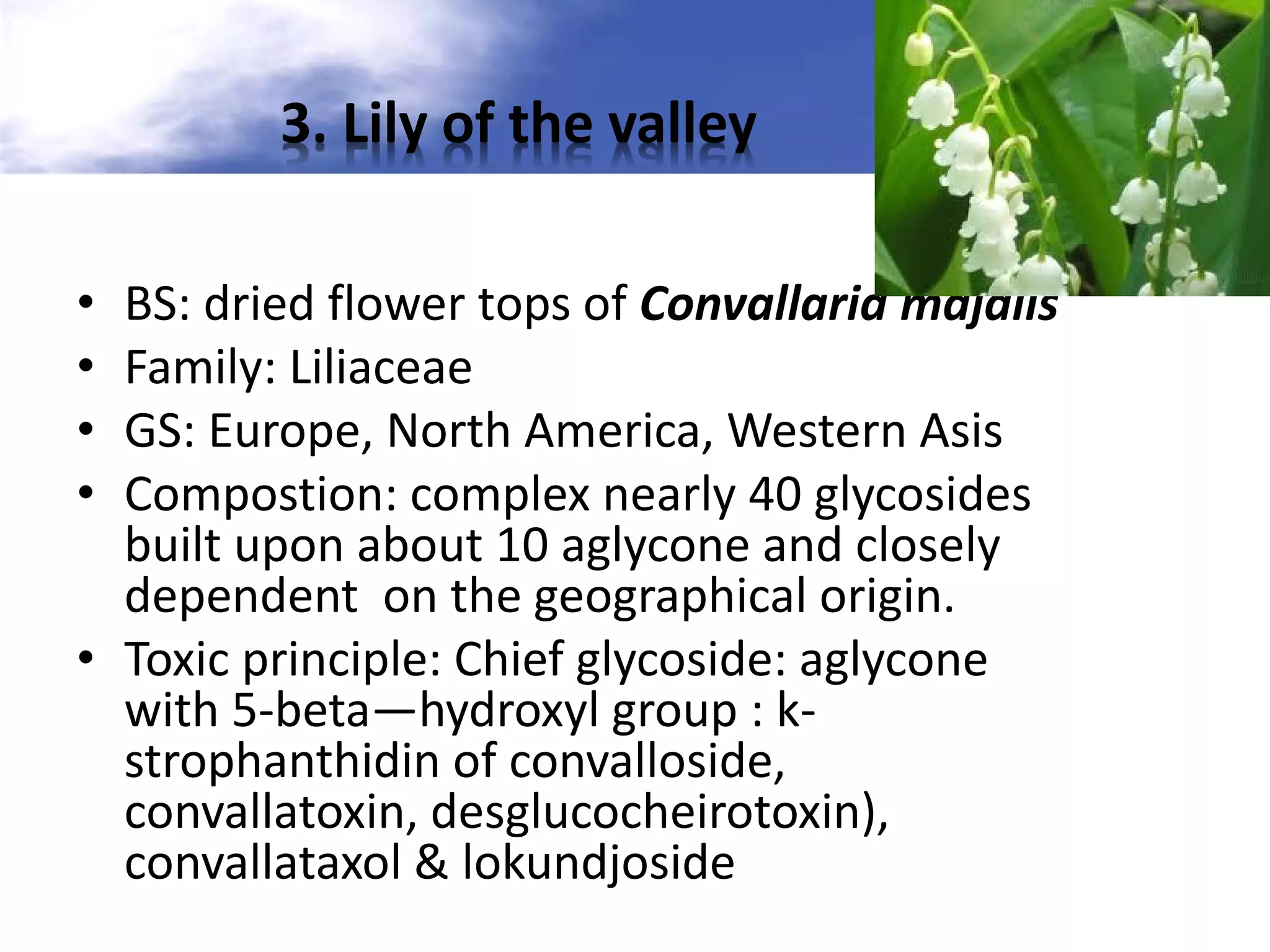 3. Lily of the valley
BS: dried flower tops of Convallaria majalis
Family: Liliaceae
GS: Europe, North America, Western Asis
Compostion: complex nearly 40 glycosides
built upon about 10 aglycone and closely
dependent on the geographical origin.
• Toxic principle: Chief glycoside: aglycone
with 5-beta—hydroxyl group : kstrophanthidin of convalloside,
convallatoxin, desglucocheirotoxin),
convallataxol & lokundjoside
•
•
•
•

 