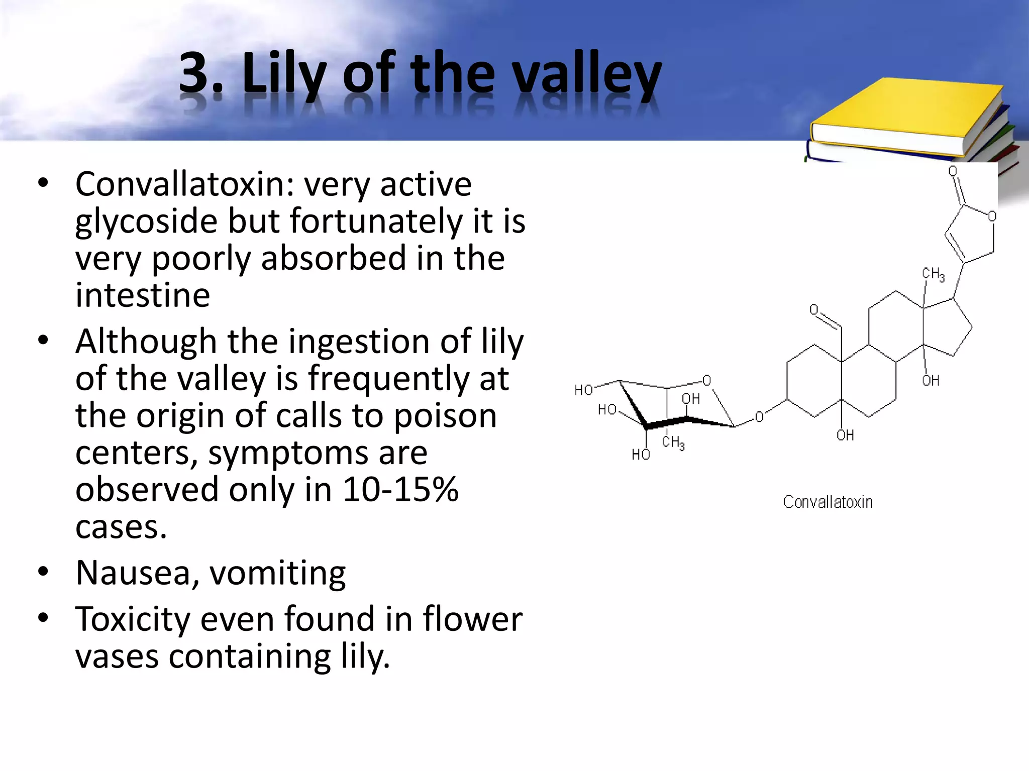 3. Lily of the valley
• Convallatoxin: very active
glycoside but fortunately it is
very poorly absorbed in the
intestine
• Although the ingestion of lily
of the valley is frequently at
the origin of calls to poison
centers, symptoms are
observed only in 10-15%
cases.
• Nausea, vomiting
• Toxicity even found in flower
vases containing lily.

 