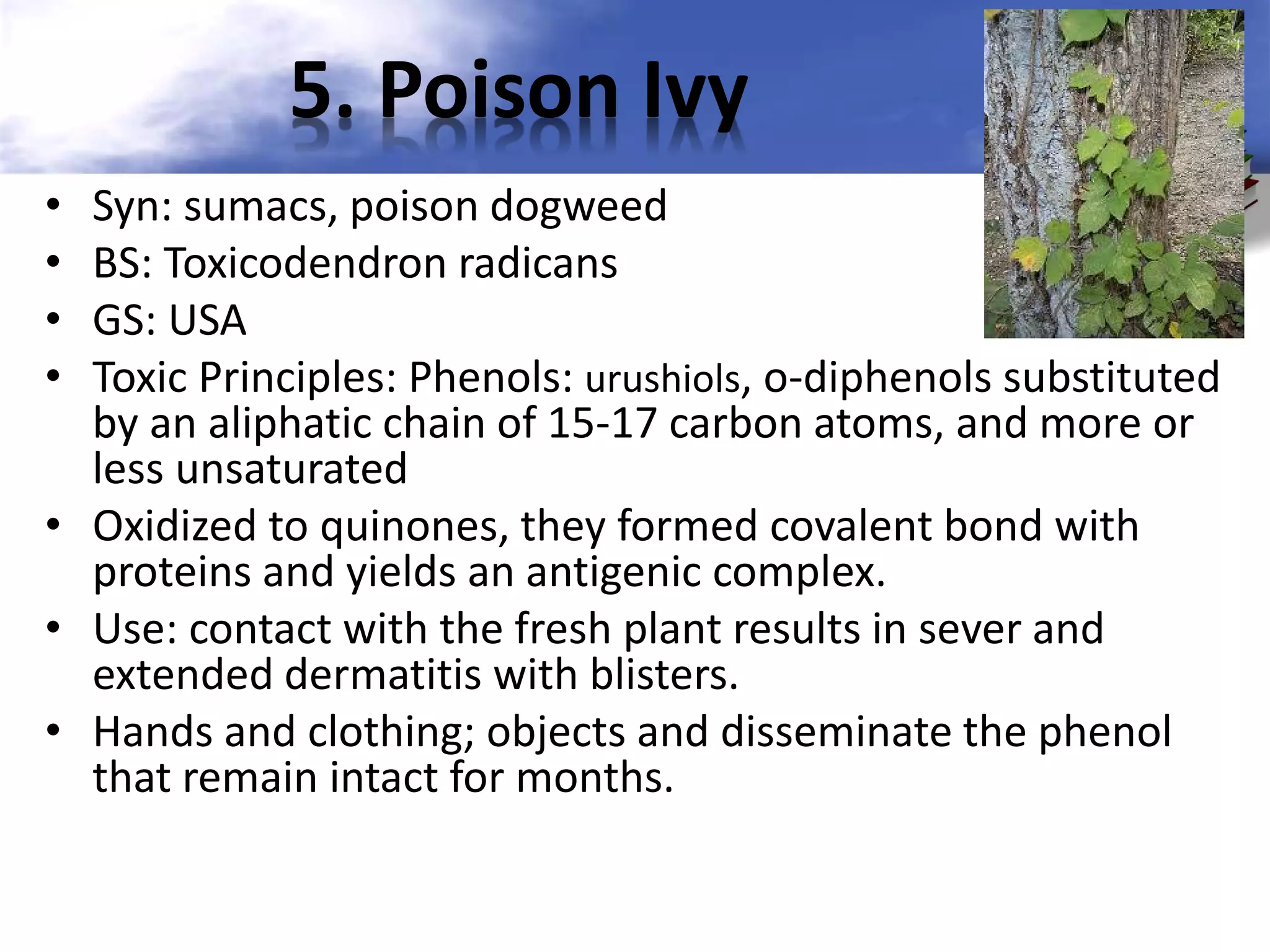 5. Poison Ivy
Syn: sumacs, poison dogweed
BS: Toxicodendron radicans
GS: USA
Toxic Principles: Phenols: urushiols, o-diphenols substituted
by an aliphatic chain of 15-17 carbon atoms, and more or
less unsaturated
• Oxidized to quinones, they formed covalent bond with
proteins and yields an antigenic complex.
• Use: contact with the fresh plant results in sever and
extended dermatitis with blisters.
• Hands and clothing; objects and disseminate the phenol
that remain intact for months.
•
•
•
•

 