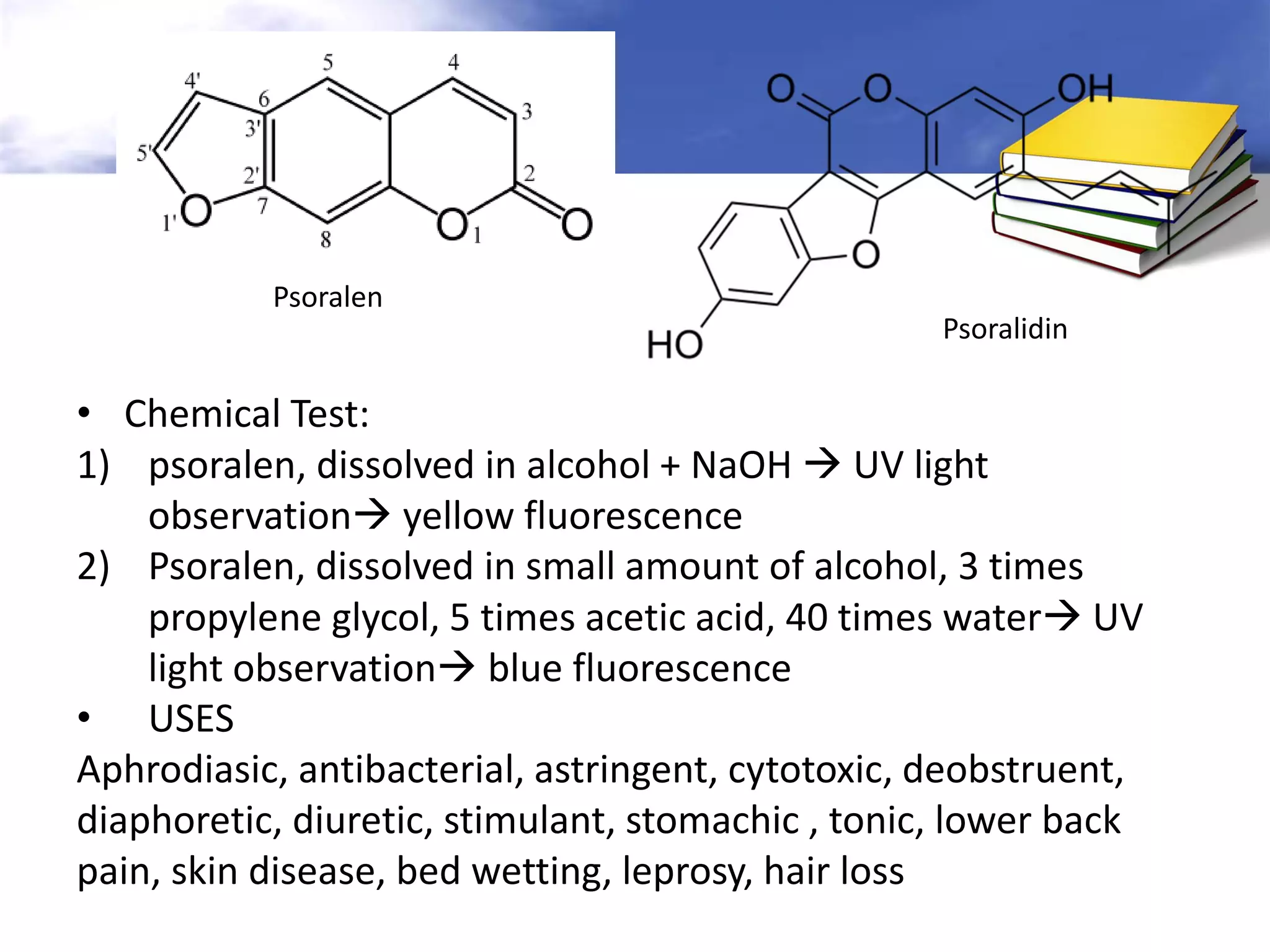 Psoralen
Psoralidin

• Chemical Test:
1) psoralen, dissolved in alcohol + NaOH  UV light
observation yellow fluorescence
2) Psoralen, dissolved in small amount of alcohol, 3 times
propylene glycol, 5 times acetic acid, 40 times water UV
light observation blue fluorescence
• USES
Aphrodiasic, antibacterial, astringent, cytotoxic, deobstruent,
diaphoretic, diuretic, stimulant, stomachic , tonic, lower back
pain, skin disease, bed wetting, leprosy, hair loss

 