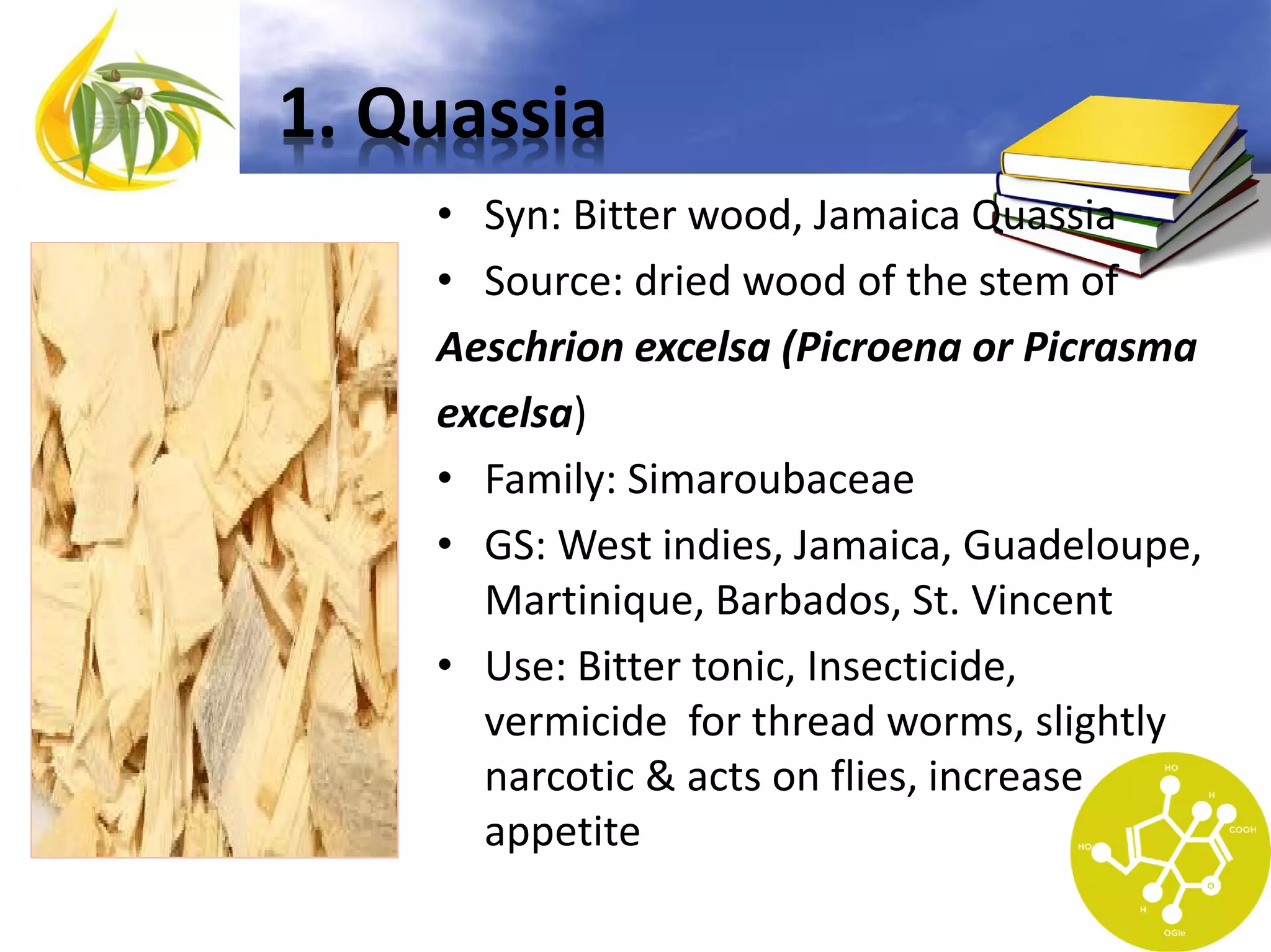 1. Quassia
• Syn: Bitter wood, Jamaica Quassia
• Source: dried wood of the stem of
Aeschrion excelsa (Picroena or Picrasma
excelsa)
• Family: Simaroubaceae
• GS: West indies, Jamaica, Guadeloupe,
Martinique, Barbados, St. Vincent
• Use: Bitter tonic, Insecticide,
vermicide for thread worms, slightly
narcotic & acts on flies, increase
appetite

 