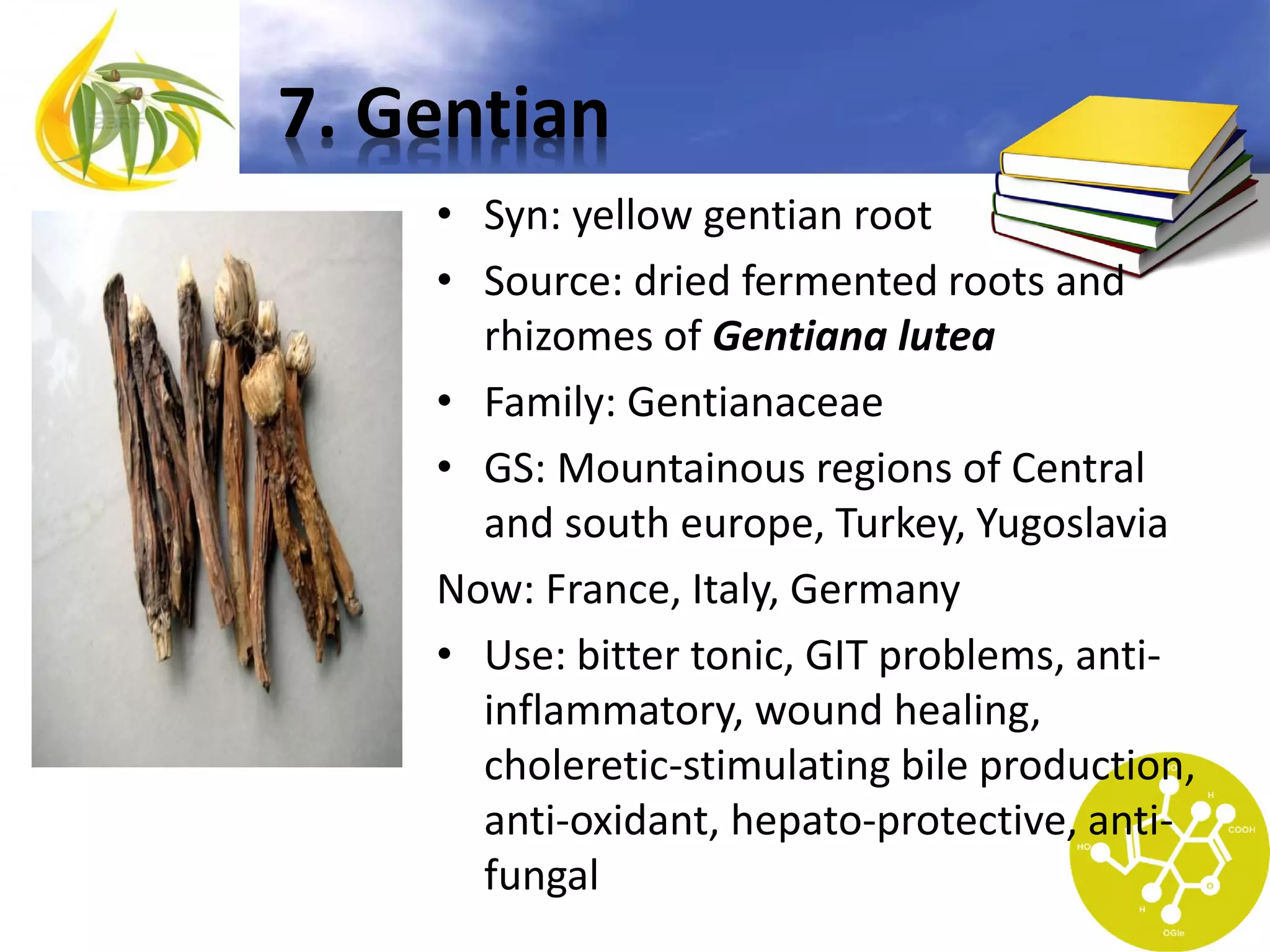 7. Gentian
• Syn: yellow gentian root
• Source: dried fermented roots and
rhizomes of Gentiana lutea
• Family: Gentianaceae
• GS: Mountainous regions of Central
and south europe, Turkey, Yugoslavia
Now: France, Italy, Germany
• Use: bitter tonic, GIT problems, antiinflammatory, wound healing,
choleretic-stimulating bile production,
anti-oxidant, hepato-protective, antifungal

 