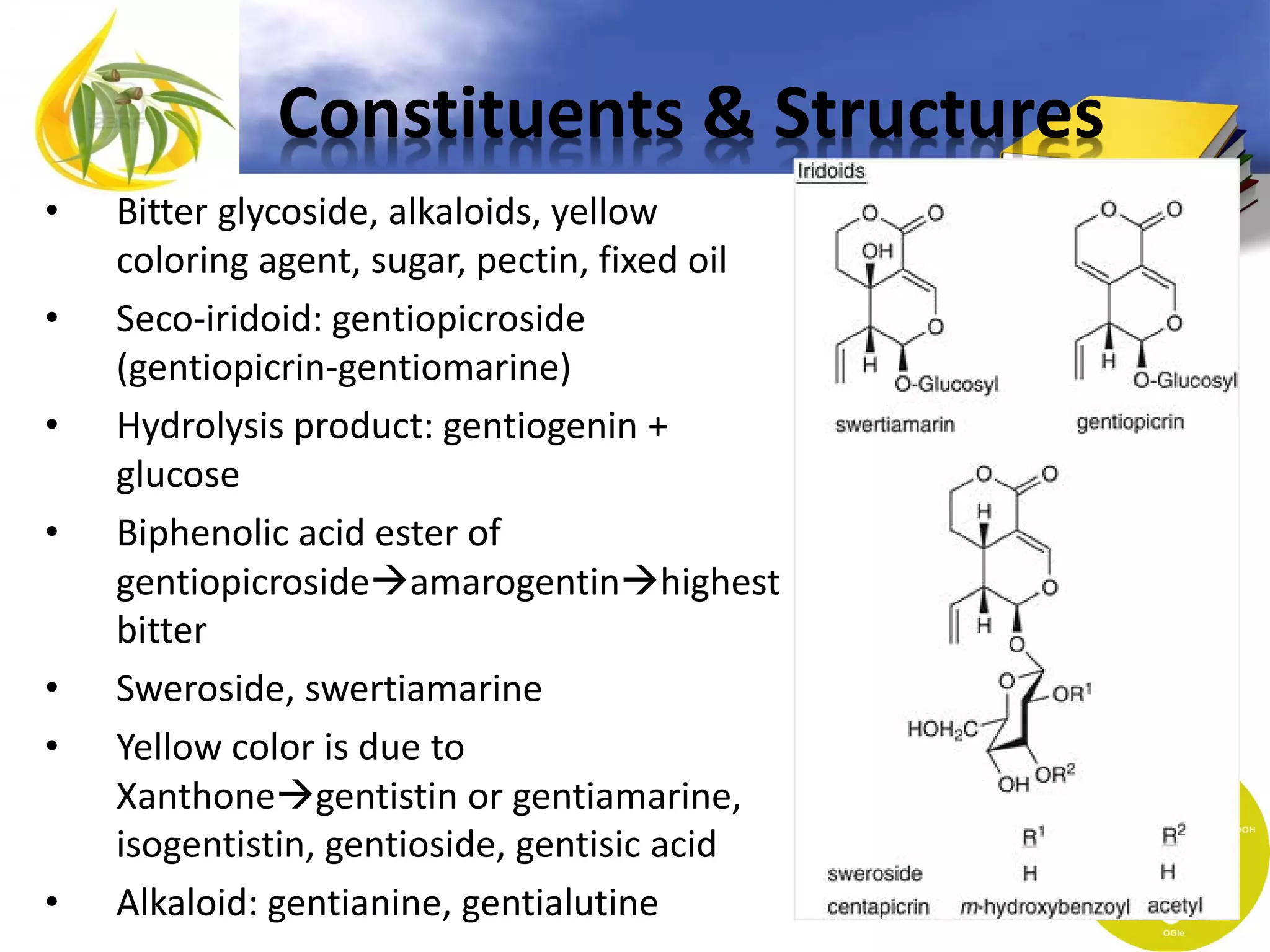 Constituents & Structures
•
•
•
•

•
•

•

Bitter glycoside, alkaloids, yellow
coloring agent, sugar, pectin, fixed oil
Seco-iridoid: gentiopicroside
(gentiopicrin-gentiomarine)
Hydrolysis product: gentiogenin +
glucose
Biphenolic acid ester of
gentiopicrosideamarogentinhighest
bitter
Sweroside, swertiamarine
Yellow color is due to
Xanthonegentistin or gentiamarine,
isogentistin, gentioside, gentisic acid
Alkaloid: gentianine, gentialutine

 