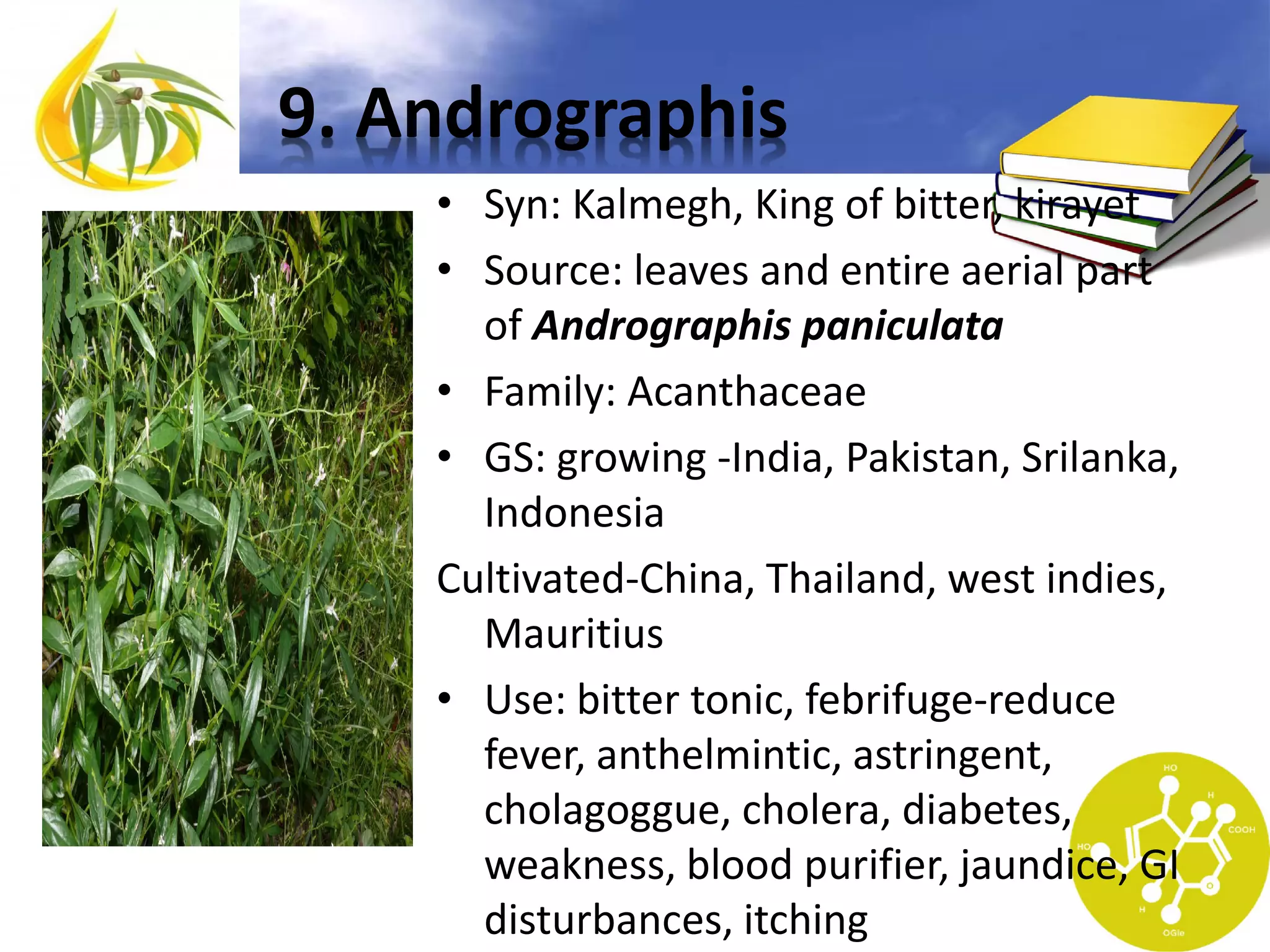 9. Andrographis
• Syn: Kalmegh, King of bitter, kirayet
• Source: leaves and entire aerial part
of Andrographis paniculata
• Family: Acanthaceae
• GS: growing -India, Pakistan, Srilanka,
Indonesia
Cultivated-China, Thailand, west indies,
Mauritius
• Use: bitter tonic, febrifuge-reduce
fever, anthelmintic, astringent,
cholagoggue, cholera, diabetes,
weakness, blood purifier, jaundice, GI
disturbances, itching

 