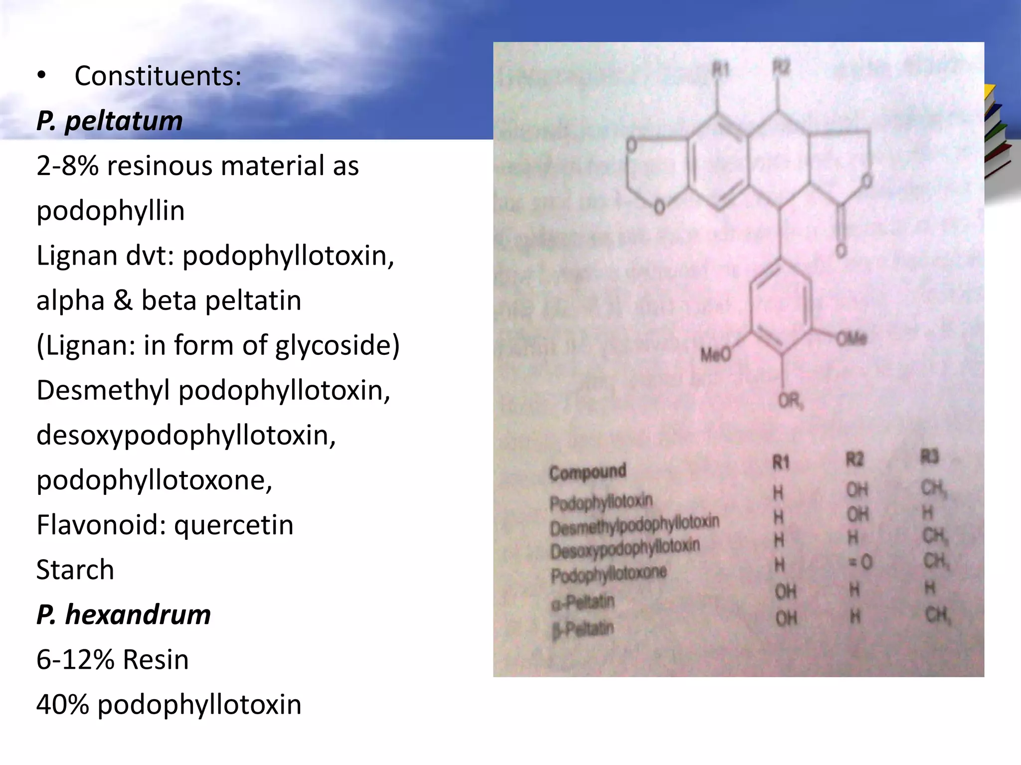 • Constituents:
P. peltatum
2-8% resinous material as
podophyllin
Lignan dvt: podophyllotoxin,
alpha & beta peltatin
(Lignan: in form of glycoside)
Desmethyl podophyllotoxin,
desoxypodophyllotoxin,
podophyllotoxone,
Flavonoid: quercetin
Starch
P. hexandrum
6-12% Resin
40% podophyllotoxin

 