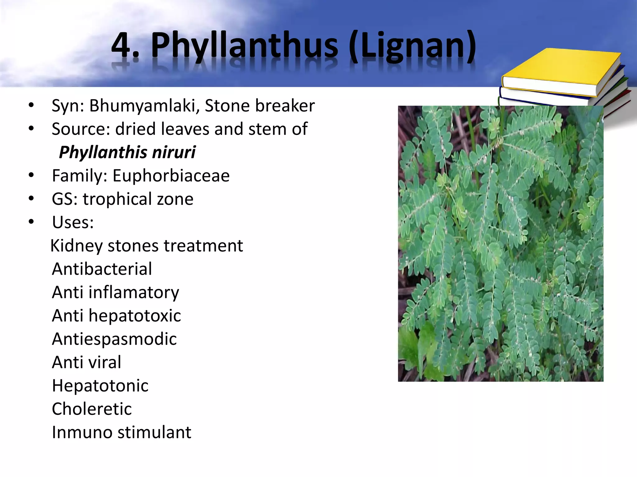 4. Phyllanthus (Lignan)
• Syn: Bhumyamlaki, Stone breaker
• Source: dried leaves and stem of
Phyllanthis niruri
• Family: Euphorbiaceae
• GS: trophical zone
• Uses:
Kidney stones treatment
Antibacterial
Anti inflamatory
Anti hepatotoxic
Antiespasmodic
Anti viral
Hepatotonic
Choleretic
Inmuno stimulant

 