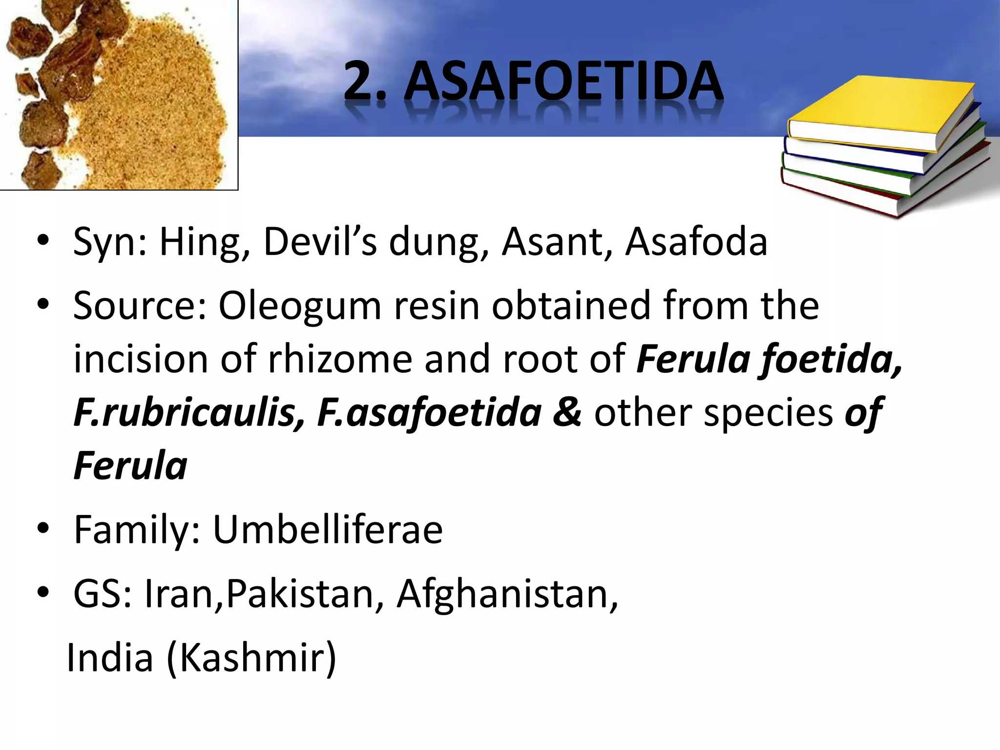 2. ASAFOETIDA
• Syn: Hing, Devil’s dung, Asant, Asafoda
• Source: Oleogum resin obtained from the
incision of rhizome and root of Ferula foetida,
F.rubricaulis, F.asafoetida & other species of
Ferula
• Family: Umbelliferae
• GS: Iran,Pakistan, Afghanistan,
India (Kashmir)

 