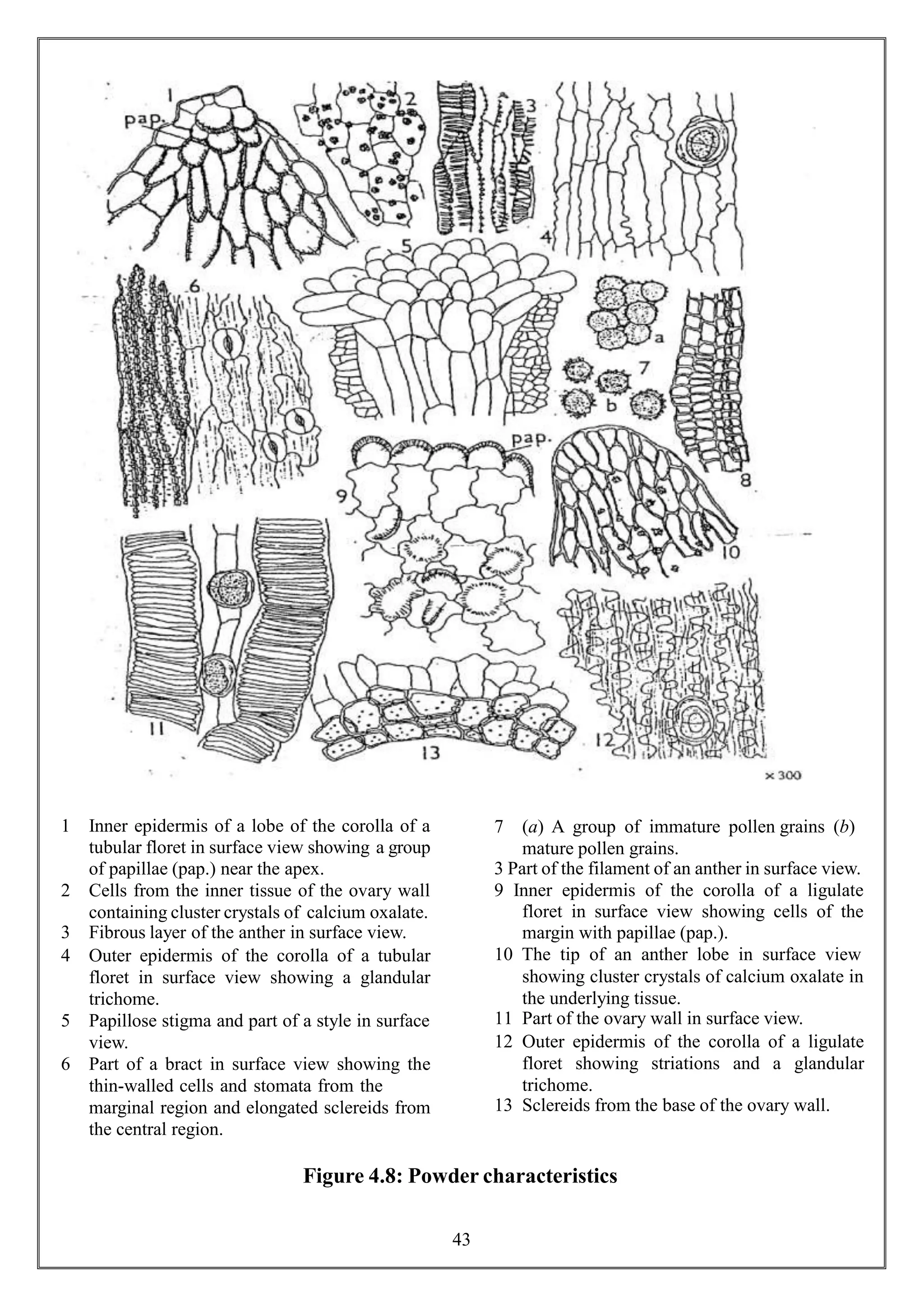 Flooret Cells Pharmacognosy-lab-manual.pptx