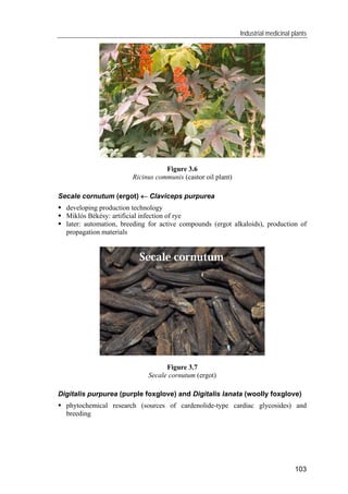 Pharmacognosy 1
106
Figure 3.11
Gypsophyla paniculata (baby’s breath)
Cultivation of foreign MPs
 Hyoscyamus muticus (Egy...