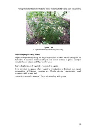 Wild, protected and cultivated medicinal plants; medicinal plant breeding; plant biotechnology
89
Changing phytochemical p...
