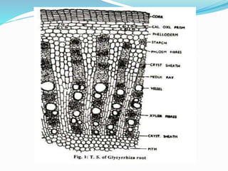 Glyceride Roots Pharmacognosy OF LIQUORICE(Saponin Glycoside) | PPTX