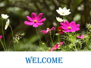 Welcome
 