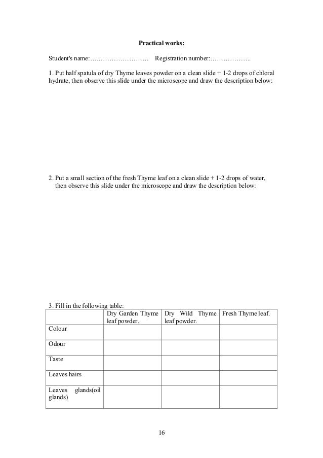 what is autobiography essay culture