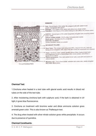 Cinchona bark
S. G. M. C. P. Mahagaon Page 4
Chemical Test:
1.Cinchona when heated in a test tube with glacial acetic acid results in blood red
tubes on the side of the test tube.
2. After moistening cinchona bark with sulphuric acid, if the bark is obtained in UV
light, it gives blue fluorescence.
3. Cinchona on treatment with bromine water and dilute ammonia solution gives
emerald green color. This is also known as Thalleoquin test.
4. The drug when treated with silver nitrate solution gives white precipitate. It occurs
due to presence of quinidine.
Chemical Constituents-
 