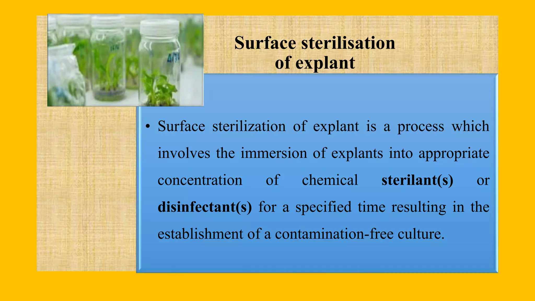 Surface sterilisation
of explant
• Surface sterilization of explant is a process which
involves the immersion of explants into appropriate
concentration of chemical sterilant(s) or
disinfectant(s) for a specified time resulting in the
establishment of a contamination-free culture.
 