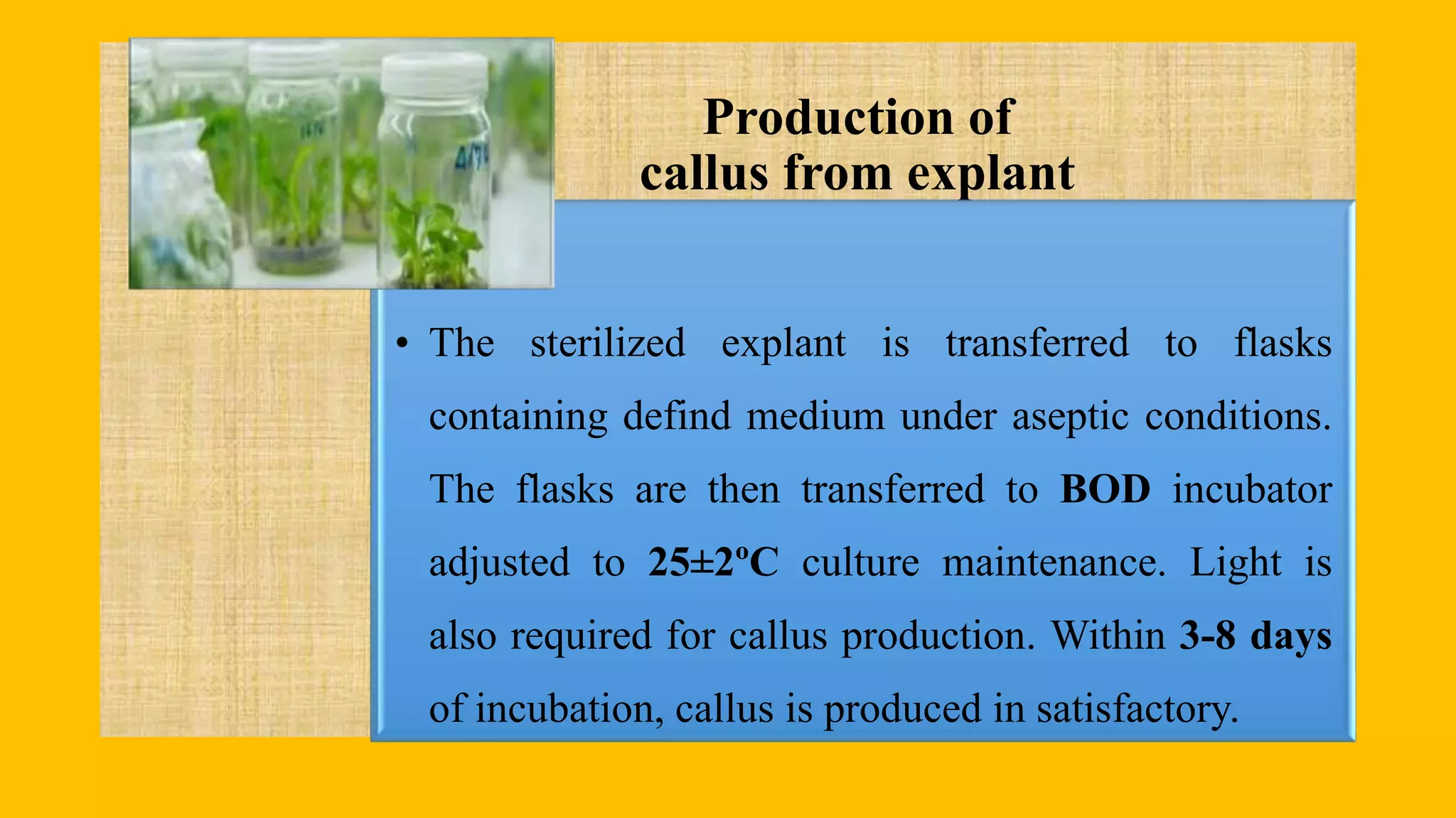 Production of
callus from explant
• The sterilized explant is transferred to flasks
containing defind medium under aseptic conditions.
The flasks are then transferred to BOD incubator
adjusted to 25±2ºC culture maintenance. Light is
also required for callus production. Within 3-8 days
of incubation, callus is produced in satisfactory.
 