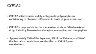 CYP1A2
• CYP1A2 activity varies widely with genetic polymorphisms
contributing to observed differences in levels of gene expression.
• CYP1A2 is responsible for the metabolism of about 5% of marketed
drugs including fluvoxamine, clozapine, olanzapine, and theophylline.
• Approximately 15% of the Japanese, 5% of the Chinese, and 5% of
the Australian populations are classified as CYP1A2 poor
metabolizers.
 