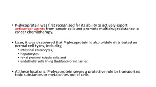 • P-glycoprotein was first recognized for its ability to actively export
anticancer agents from cancer cells and promote multidrug resistance to
cancer chemotherapy.
• Later, it was discovered that P-glycoprotein is also widely distributed on
normal cell types, including
• intestinal enterocytes,
• hepatocytes,
• renal proximal tubule cells, and
• endothelial cells lining the blood–brain barrier.
• At these locations, P-glycoprotein serves a protective role by transporting
toxic substances or metabolites out of cells.
 