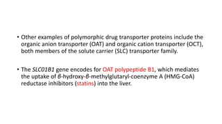 • Other examples of polymorphic drug transporter proteins include the
organic anion transporter (OAT) and organic cation transporter (OCT),
both members of the solute carrier (SLC) transporter family.
• The SLC01B1 gene encodes for OAT polypeptide B1, which mediates
the uptake of β-hydroxy-β-methylglutaryl-coenzyme A (HMG-CoA)
reductase inhibitors (statins) into the liver.
 