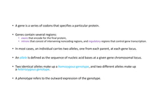 • A gene is a series of codons that specifies a particular protein.
• Genes contain several regions:
• exons that encode for the final protein,
• introns that consist of intervening noncoding regions, and regulatory regions that control gene transcription.
• In most cases, an individual carries two alleles, one from each parent, at each gene locus.
• An allele is defined as the sequence of nucleic acid bases at a given gene chromosomal locus.
• Two identical alleles make up a homozygous genotype, and two different alleles make up
a heterozygous genotype.
• A phenotype refers to the outward expression of the genotype.
 