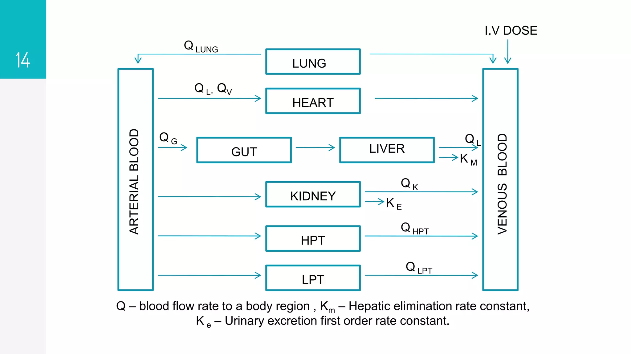 Pharmacokinetic model & compartment models by Karthickraja M | PPTX