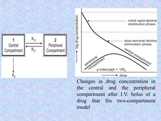 Changes in drug concentration in
the central and the peripheral
compartment after I.V. bolus of a
drug that fits two-compartment
model
 