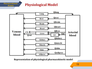 Physiological Model
13
Representation of physiological pharmacokinetic model
Pharmacokinetic
Models
 