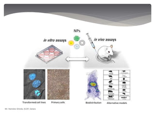 Mr. Namdeo Shinde, SCOP, Satara
 