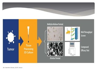 Mr. Namdeo Shinde, SCOP, Satara
 